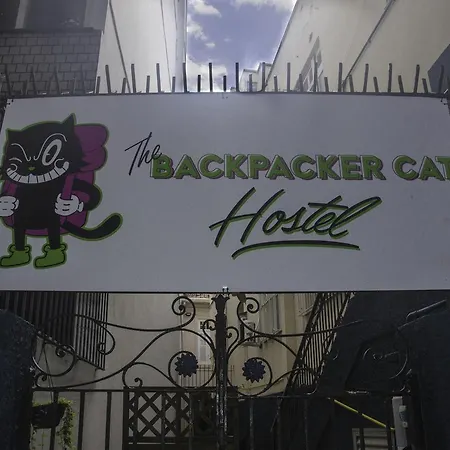 The Backpacker Cat Hostel-2